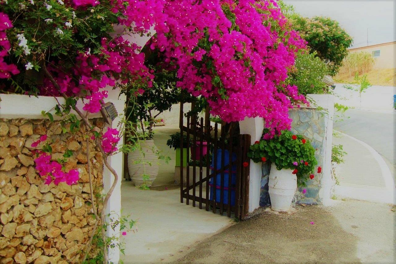 Hotel Lefka à Kolymbari Extérieur photo